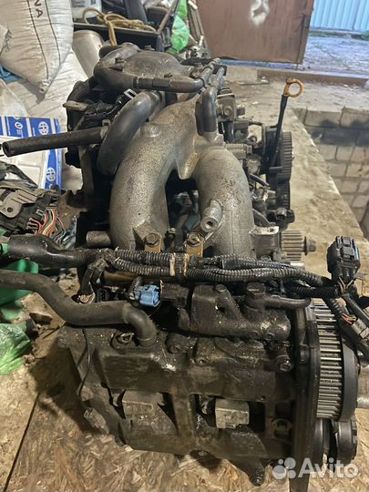 Двигатель Subaru ej 204