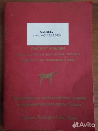 Лошади