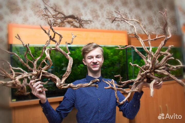 Деревянные композиции для аквариумов и террариумов