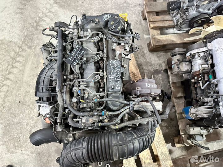 Двигатель Hyundai / Kia 2.0 л D4HA