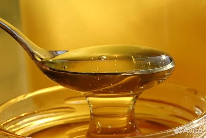 Мед Алтайский опт