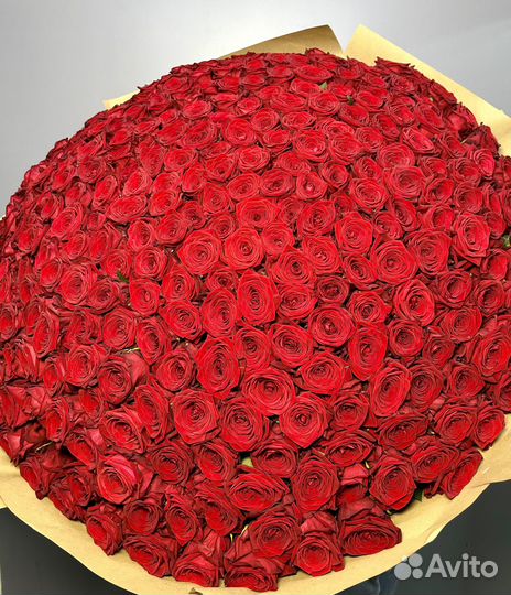 101 роза букет доставка