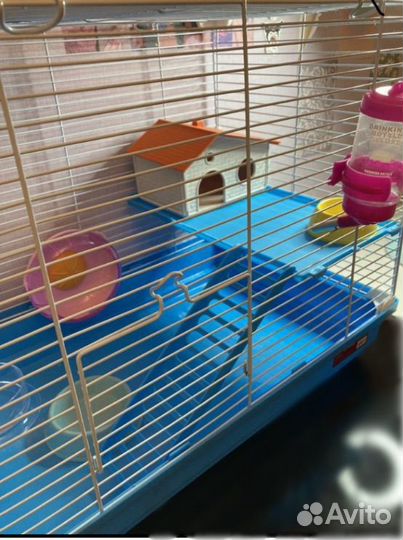 Клетка для грызунов