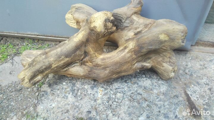 Коряги(корни) в аквариум