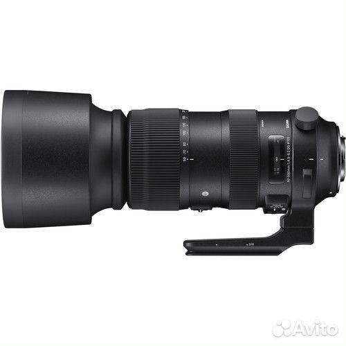 Sigma AF 60-600mm f/4.5-6.3 DG OS HSM Sports Nikon