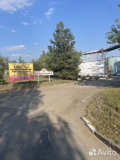 Мясо для собак Сердце говяжье