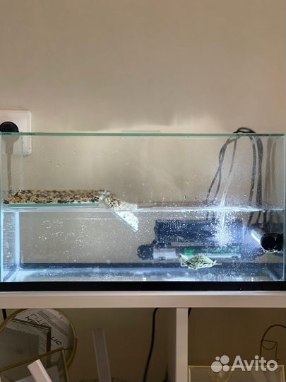 Террариум для черепахи