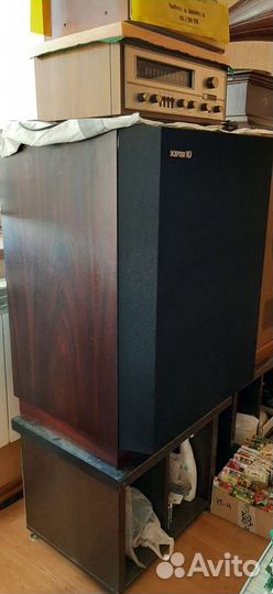 Колонки Onkyo Scepter 10