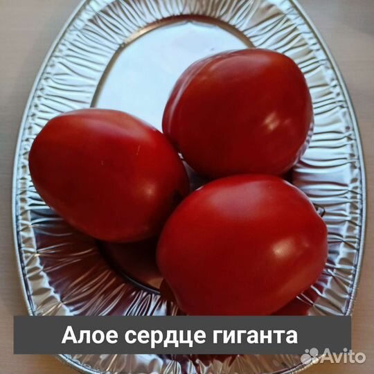 Семена томатов