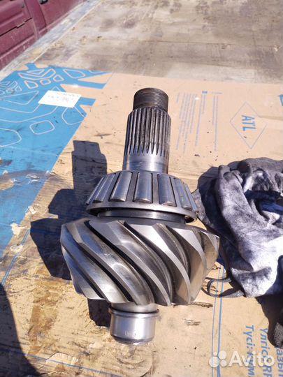 Главная пара даф