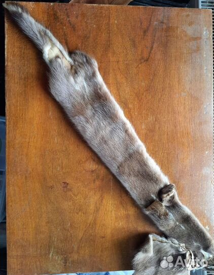 Шкурка норки