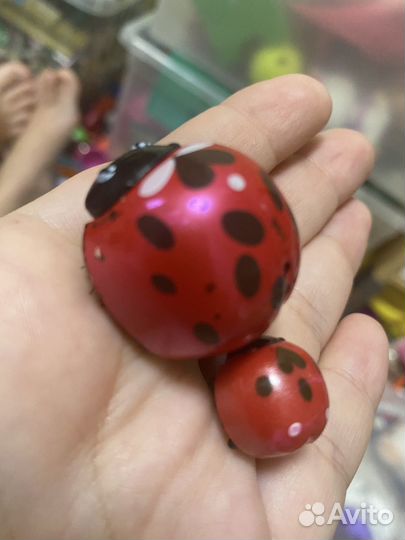 Божьи коробки moose