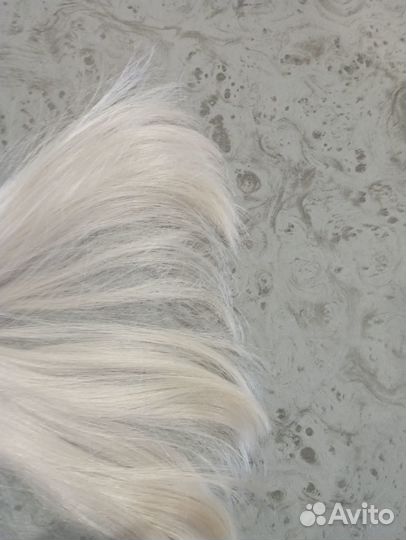 Хвост на заколках