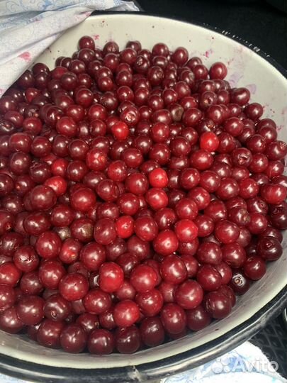 Вкуснейшая вишня
