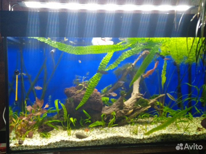 Led светильник аллюминиевый на аквариум