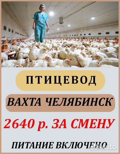Птицевод/ Вахта, проживание, питание