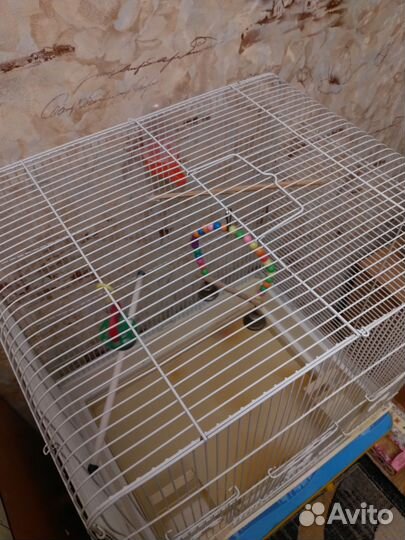 Большая клетка для птиц
