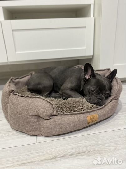 Лежанка для собак и кошек бу