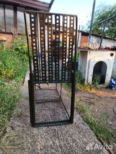 Аренда живоловушки