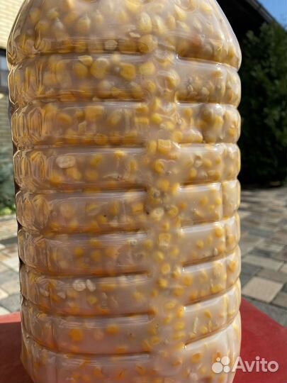 Охота и рыбалка