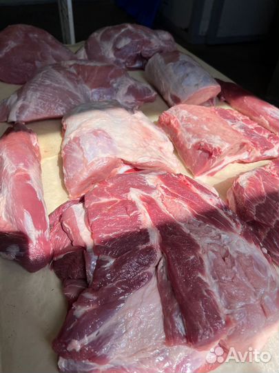 Мясо свинина