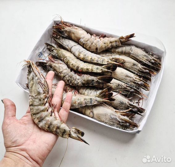 Креветка Тигровая 8-12 шт в кг