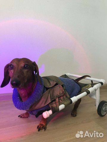 Инвалидная коляска для собак/кошек/животных