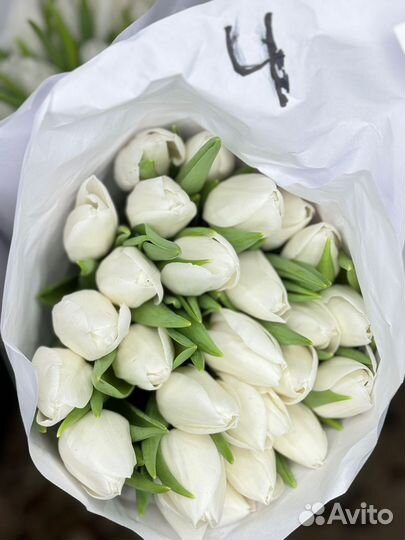 Тюльпаны к 8 марта