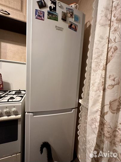 Холодильник hotpoint ariston