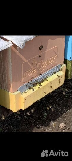 Натуральный Мёд