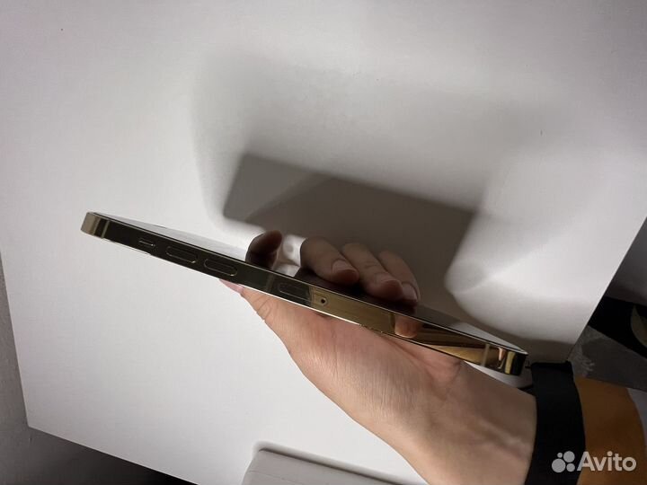 iPhone 12 Pro Max, 256 ГБ