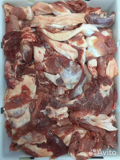 Продам мясо говядины