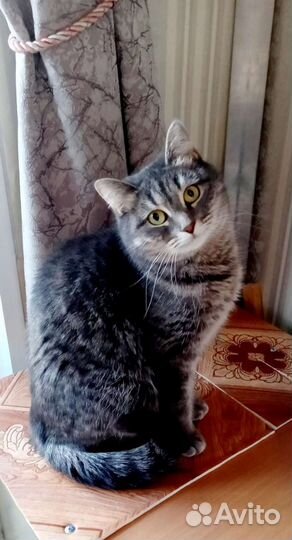 Катя в добрые руки отдам