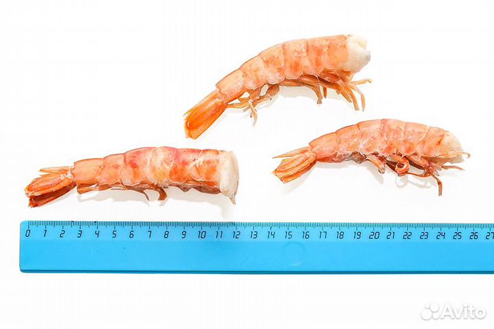 Лангустины - Креветка аргентинская (С1) в пакете