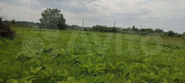 Участок 6 сот. (ИЖС)