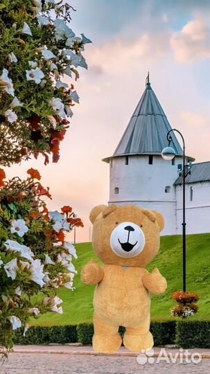 Поздравление от огромного Мишки