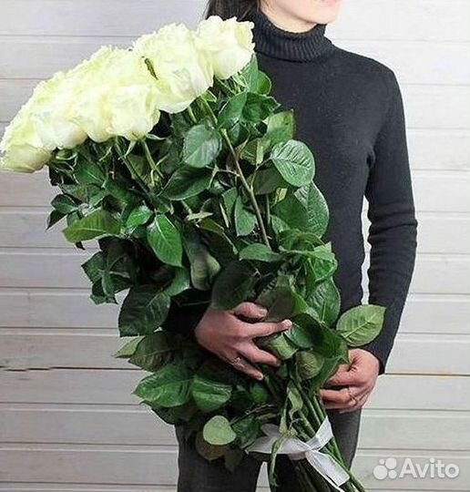 Розы гиганты 140 150 160 170 180 200