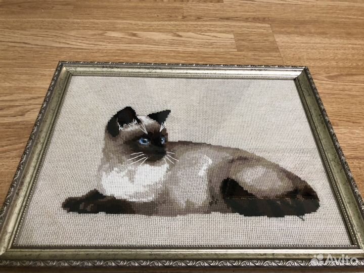 Тайская кошка