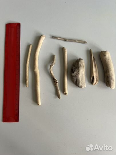 Дрифтвуд коряги с берега моря