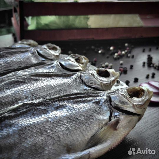 Сопа вяленая. Жирная