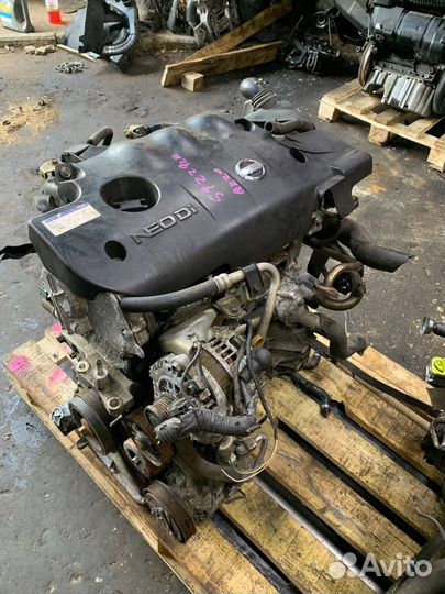 Двигатель QR20DD Ниссан bluebird sylphy tg10