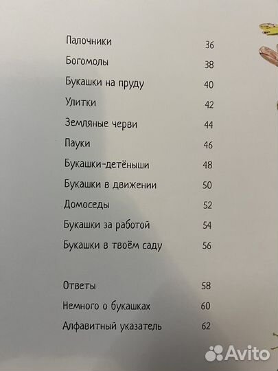 Большая книга букашек