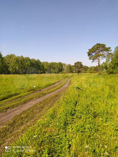 Участок 4,58 га (СНТ, ДНП)