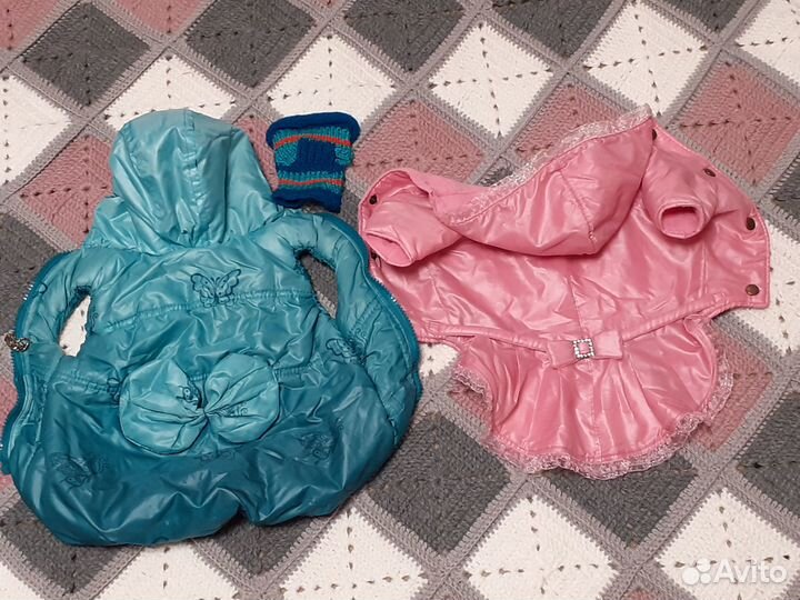 Одежда для собаки