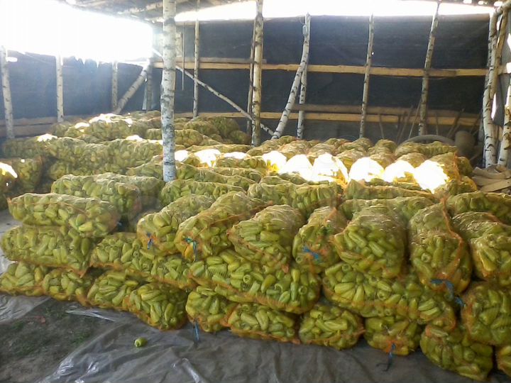 Участок 21,3 га (СНТ, ДНП)