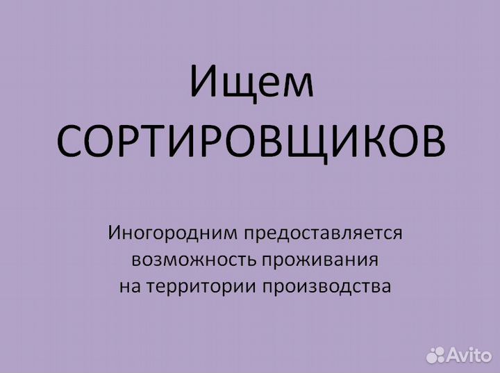 Сортировщики (график 2/2)