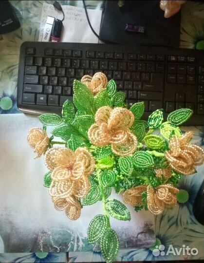 Кустовые розы