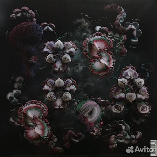 Виниловая пластинка Björk - Fossora (Black Vinyl 2