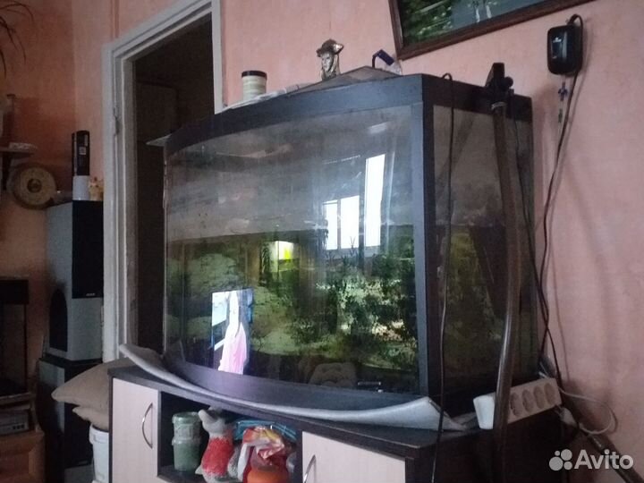 Аквариум 240л