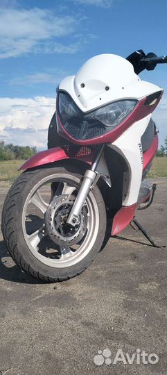 Рейсер Драгон 150